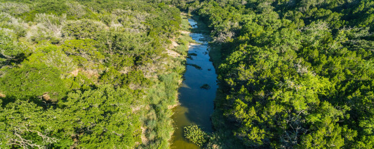 creek in landscape