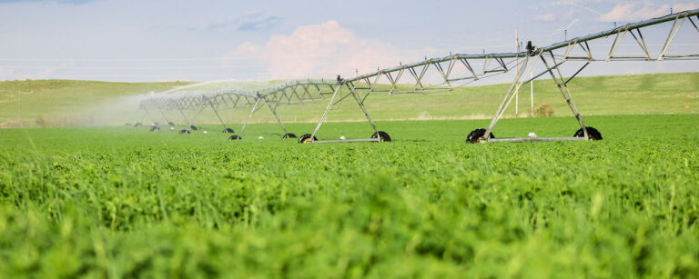 pivot in grain field