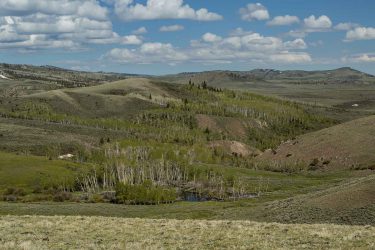 Wyoming Ranch For Sale - Half Diamond Horseshoe - Encampment, WY offered by Hall and Hall