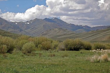 Idaho Fishing For Sale - Twin Bridges Ranch - Sun Valley, ID offered by Hall and Hall