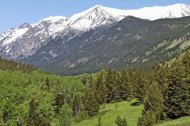 Montana Ranch For Sale - Lazy K Bar Ranch - Big Timber, MT offered by Hall and Hall