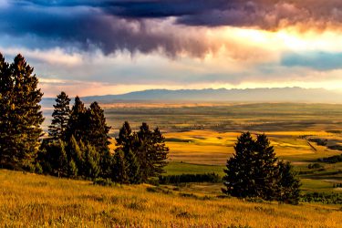 Montana Ranch For Sale - Quagle Creek Ranch - Belgrade, MT offered by Hall and Hall