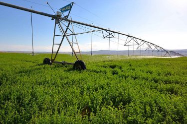 Oregon Ranch For Sale - JMK Ranch - Crane, OR offered by Hall and Hall