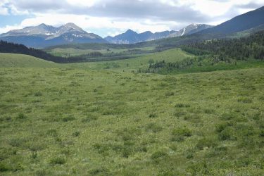 Colorado Ranch For Sale - Mosca Pass Ranch - Gardner, CO offered by Hall and Hall