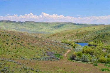 Idaho Ranch For Sale - Little Willow Creek Ranch - Payette, ID offered by Hall and Hall