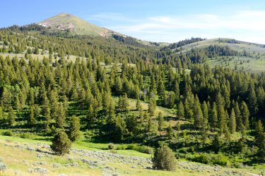 Oregon Ranch For Sale - Lookout Mountain Ranch - Durkee, OR offered by Hall and Hall