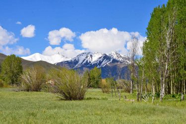 Idaho Ranch For Sale - Muldoon Creek Ranch - Muldoon, ID offered by Hall and Hall