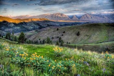 Montana Ranch For Sale - Skalkaho Creek Ranch - Hamilton, MT offered by Hall and Hall