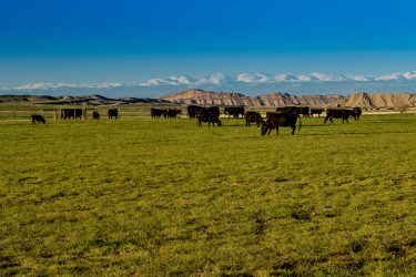 Wyoming Ranch For Sale - Saddle Horn Ranch - Thermopolis, WY offered by Hall and Hall