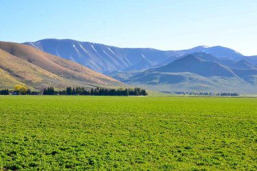 Idaho Farm For Sale - Cove Ranch - Sun Valley, ID offered by Hall and Hall