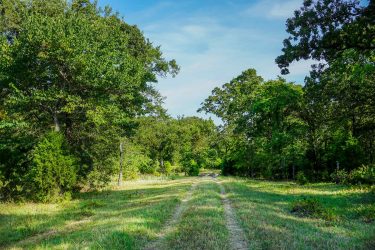 Texas Ranch For Sale - Cross Roads Pasture - Cross Roads, TX offered by Hall and Hall