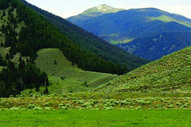 Idaho Ranch For Sale - Gardner Creek Ranch - Clayton, ID offered by Hall and Hall