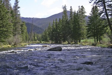 Colorado Fishing For Sale - Taylor River Homesteads - Gunnison, CO offered by Hall and Hall