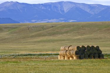 Montana Ranch For Sale - Haymaker Ranch - Two Dot, MT offered by Hall and Hall