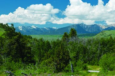 Montana Ranch For Sale - Twisted Stick Ranch - McLeod, MT offered by Hall and Hall