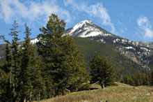 Montana Hunting - Big Game For Sale - Paradise Hill Ranch - Pray, MT offered by Hall and Hall