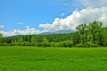 Montana Retreat For Sale - Ninemile Creek Ranch - Missoula, MT offered by Hall and Hall