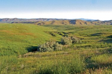 Idaho Hunting - Big Game For Sale - Cove Road Ranch - Weiser, ID offered by Hall and Hall