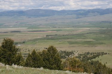 Montana Ranch For Sale - Dempsey Creek Ranch - Deer Lodge, MT offered by Hall and Hall