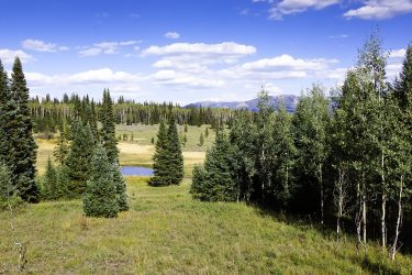 Colorado Ranch For Sale - Diamond Key Ranch - Steamboat Springs, CO offered by Hall and Hall