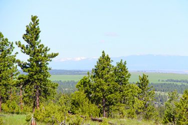 Montana Ranch For Sale - Raths Ranch - Roundup, MT offered by Hall and Hall