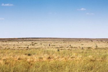 Texas Ranch For Sale - Gaines County CRP - Seminole, TX offered by Hall and Hall