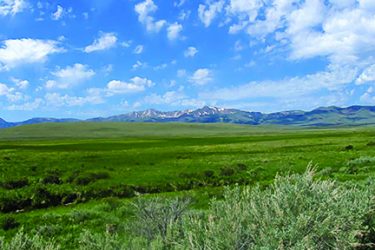 Montana Ranch For Sale - Island Butte Ranch - Dell, MT offered by Hall and Hall
