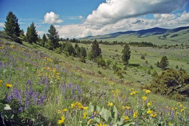 Montana Ranch For Sale - Bremmer Creek Ranch - Bozeman, MT offered by Hall and Hall