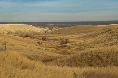 Wyoming Hunting - Big Game For Sale - North Ridge Equestrian Ranch - Buffalo, WY offered by Hall and Hall