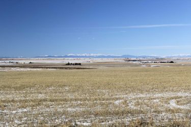 Colorado Farm For Sale - Golden Acres - Byers, CO offered by Hall and Hall