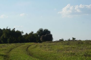 Texas Ranch For Sale - La Bahia Trail Ranch - Independence, TX offered by Hall and Hall