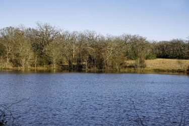 Texas Ranch For Sale - No River Ranch - Normangee, TX offered by Hall and Hall