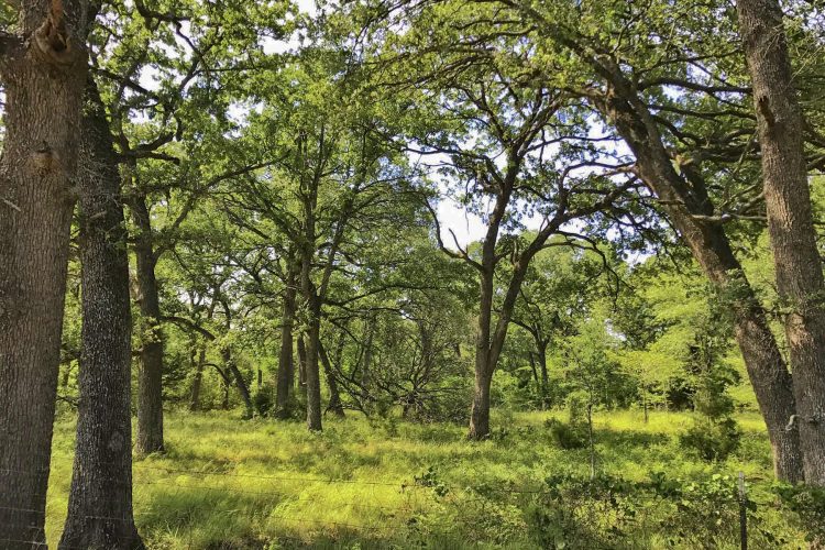 Financing - Texas Ranches for Sale