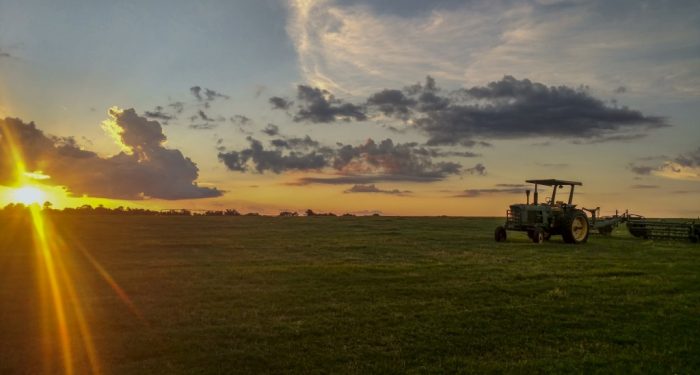 Rain Weather for Ranching