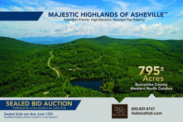 North Carolina Timber Auction - Majestic Highlands - Fairview, NC offered by Hall and Hall