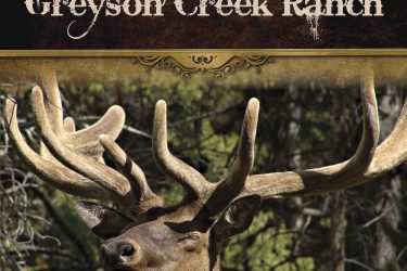 Montana Ranch Auction - Greyson Creek Ranch - Greyson, MT offered by Hall and Hall