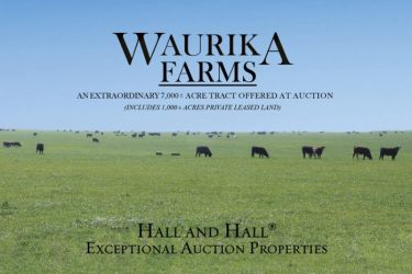 Oklahoma Ranch Auction - Waurika Farms - Waurika, OK offered by Hall and Hall