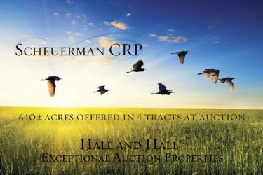 Kansas Farm Auction - Scheuerman CRP - Deerfield, KS offered by Hall and Hall