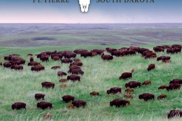 South Dakota Ranch Auction - Triple U Ranch - Fort Pierre, SD offered by Hall and Hall