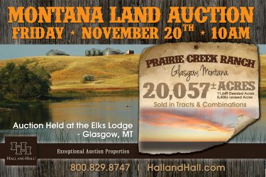 Montana Ranch Auction - Prairie Creek Ranch - Glasgow, MT offered by Hall and Hall