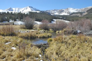 Montana Retreat For Sale - Eighteenmile Peak Ranch - Dell, MT offered by Hall and Hall