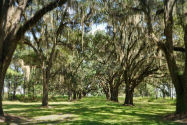 Florida Plantation For Sale - Loveridge Plantation - Miccosukee, FL offered by Hall and Hall