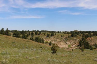 Montana Ranch For Sale - Engdahl Ranch - Jordan, MT offered by Hall and Hall
