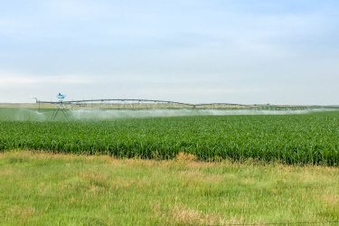 South Dakota Farm For Sale - Todd County Irrigated Organic Farm - Mission, SD offered by Hall and Hall