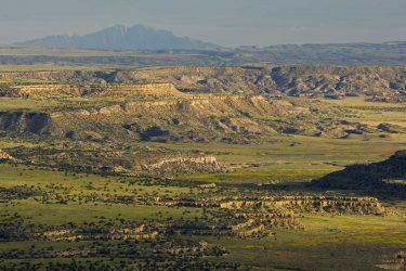 New Mexico Ranch For Sale - Lobo Ranch - Laguna, NM offered by Hall and Hall