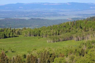 New Mexico Ranch For Sale - High Timber Ranch - Tierra Amarilla, NM offered by Hall and Hall