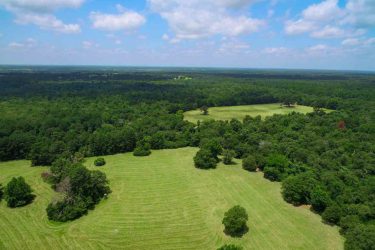 Texas Ranch For Sale - Spring Branch Ranch - Centerville, TX offered by Hall and Hall