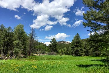 Colorado Ranch For Sale - North Middle Fork Ranch - Lyons, CO offered by Hall and Hall