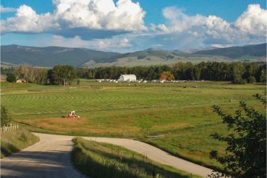 Montana Ranch For Sale - White Feather Ranch - Stevensville, MT offered by Hall and Hall