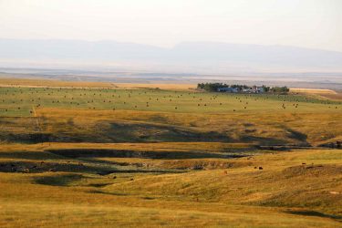 Montana Ranch For Sale - C/N Ranch - Ryegate, MT offered by Hall and Hall
